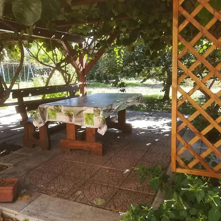 Biologico Dell'etna *