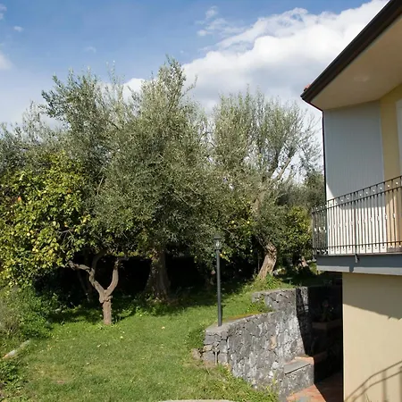 Biologico Dell'etna Trecastagni