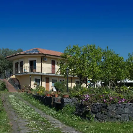 Biologico Dell'etna *